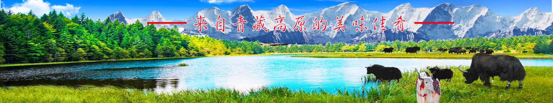 多元戰略